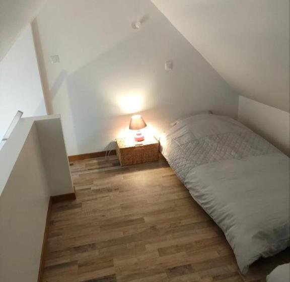 Студия Стандарт, Studio Cosy