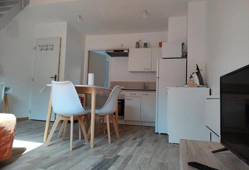 스탠다드 스튜디오, Studio Cosy