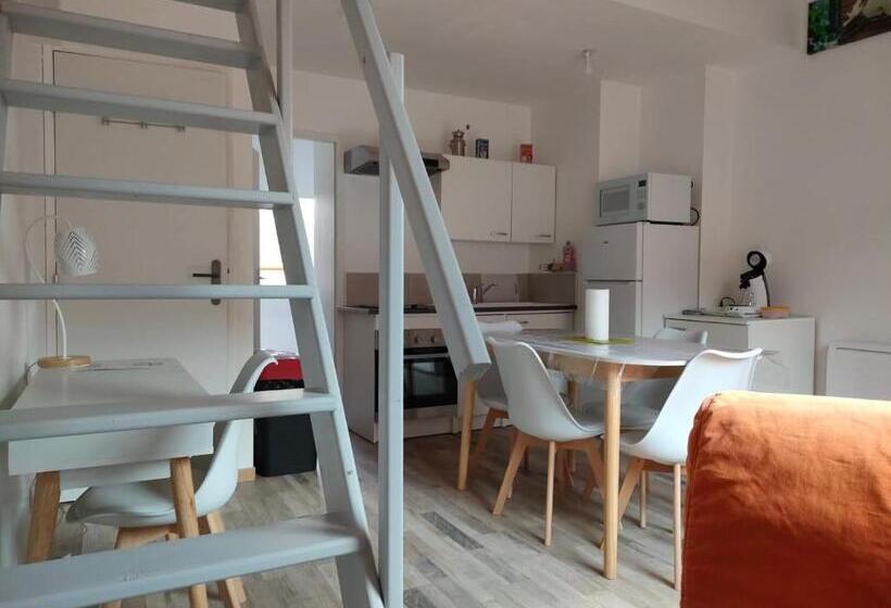 스탠다드 스튜디오, Studio Cosy