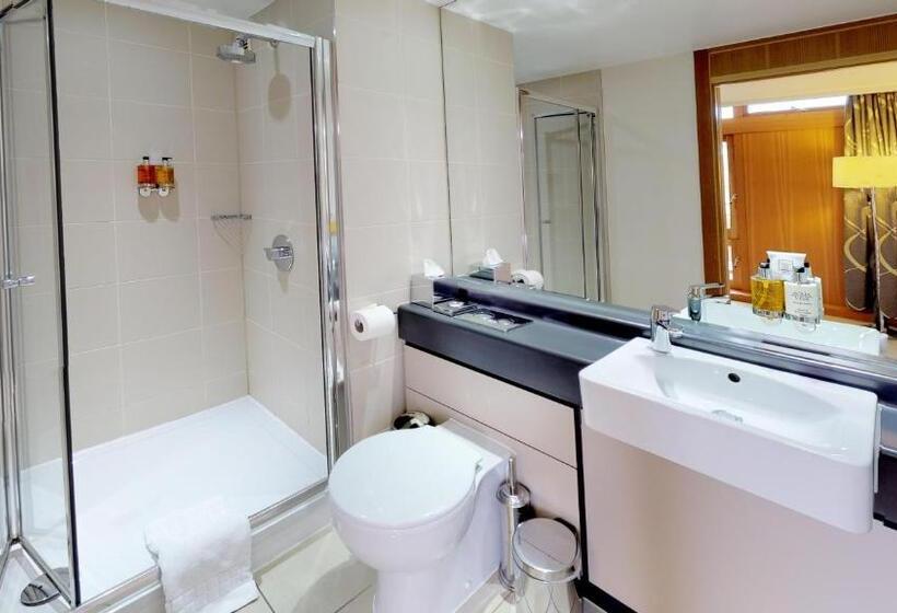 Номер Executive, College Court