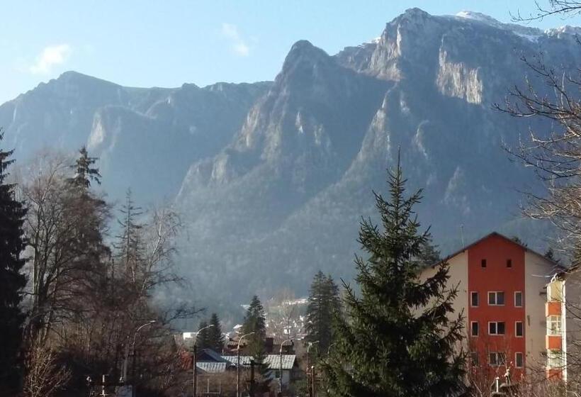 复式套房, Conac Bavaria