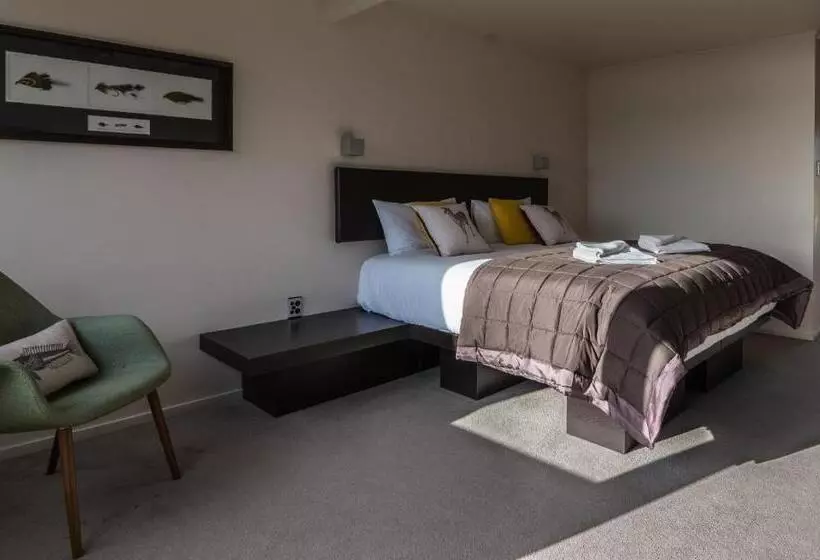 Standard studio with lake view, Hawea