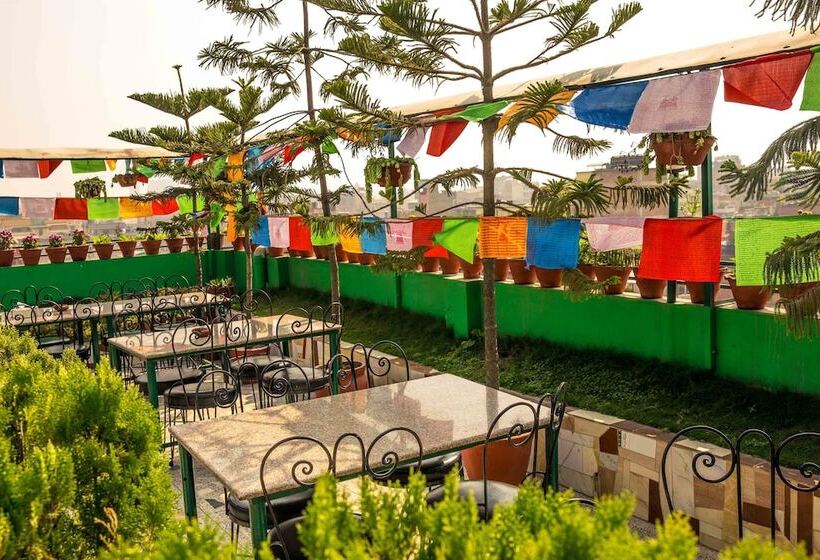 اتاق لوکس, Nepalaya