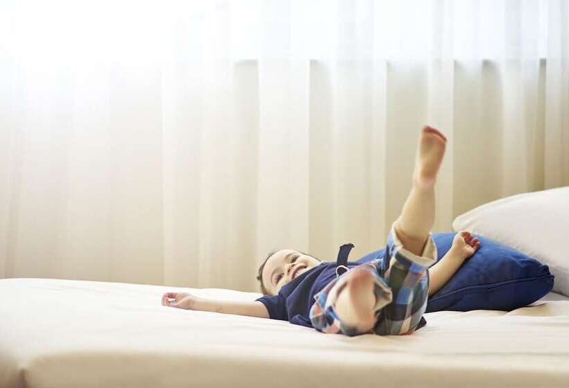 סוויטה, Novotel Paris Saint Denis Stade Basilique