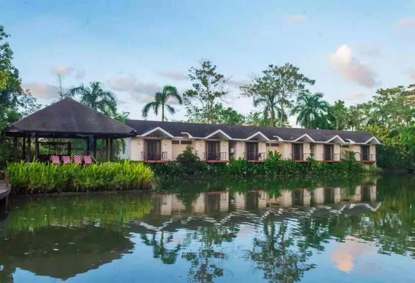 اتاق استاندارد با تراس, Sheridan Boutique Resort Iloilo