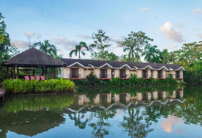 اتاق استاندارد, Sheridan Boutique Resort Iloilo