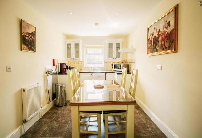 דירת חדר, The Town House