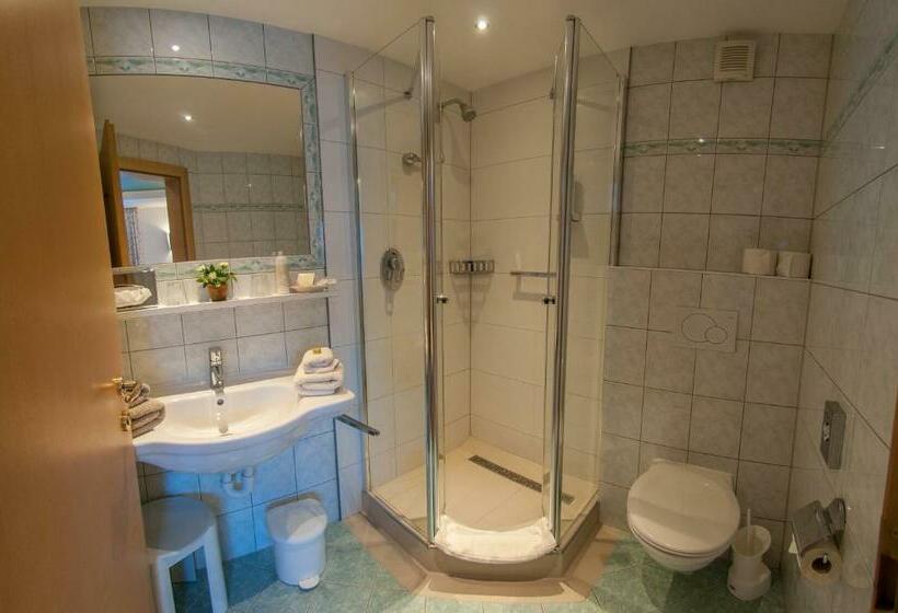 スタンダードシングルルーム, Pension Alwin