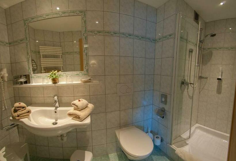 スタンダードルーム, Pension Alwin