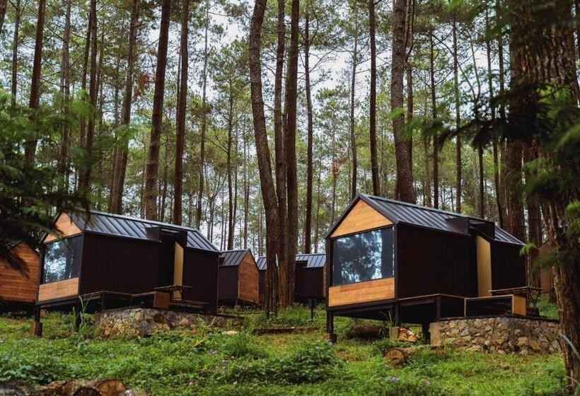 이그제큐티브 룸, Bobocabin Cikole, Bandung