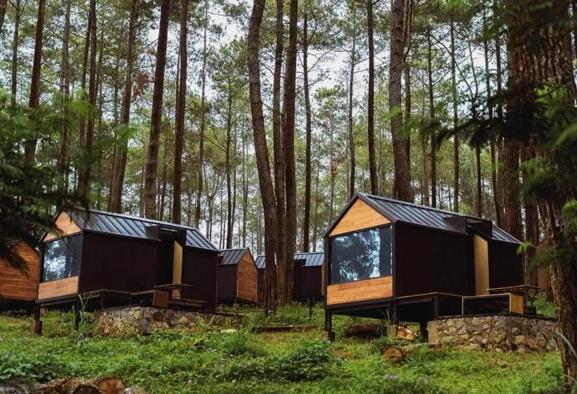 Executive-Zimmer, Bobocabin Cikole, Bandung