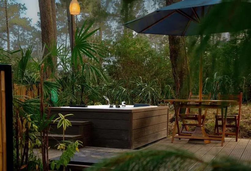 Deluxe Suite, Bobocabin Cikole, Bandung