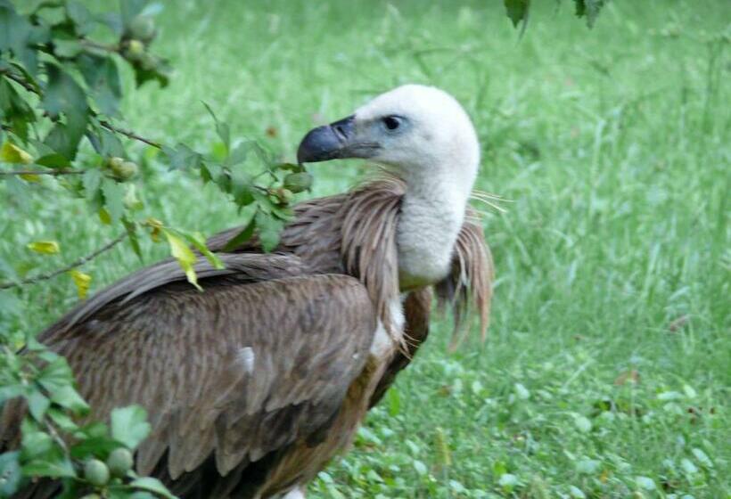 マウンテンビュースタンダードルーム, Chambre Chez Sylvie