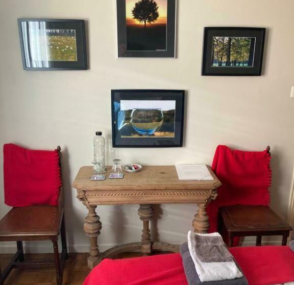 Номер Стандарт, Infocus Du Sud