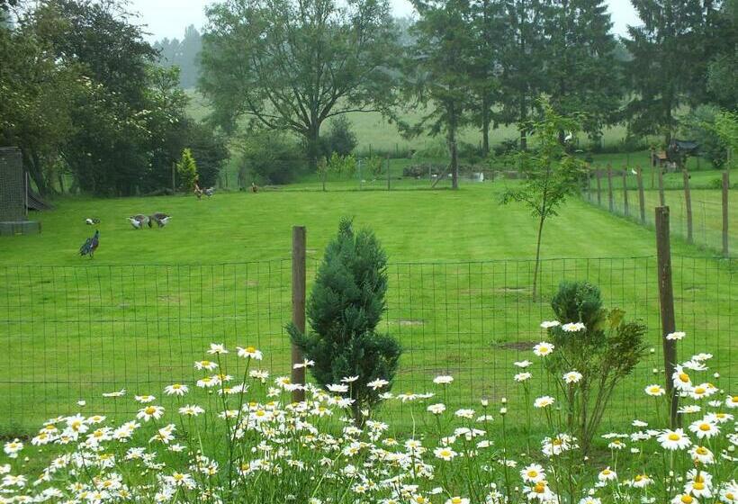 标准间, La Jolimessine