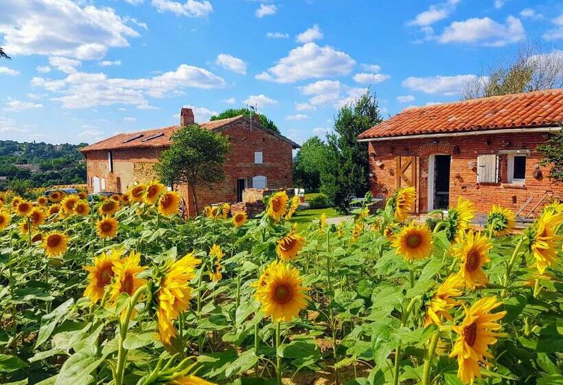 إستوديو قياسى مزودة بتراس, Les Hauts De Sames