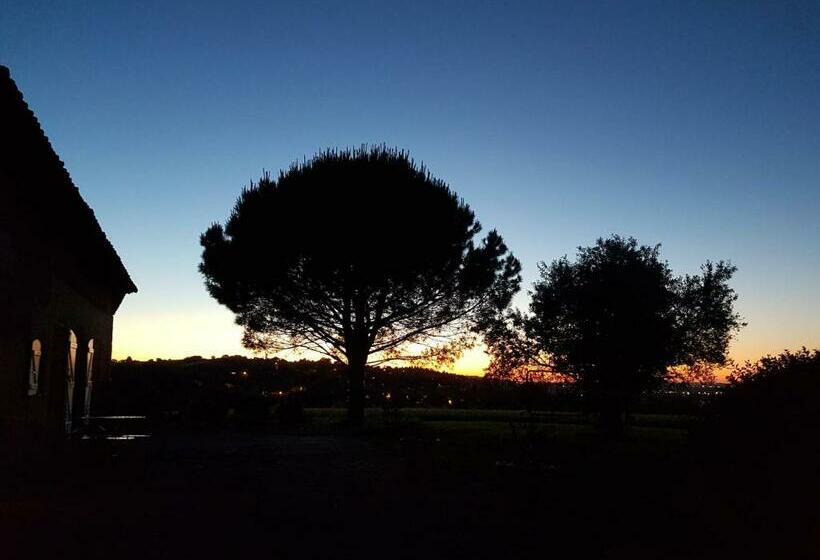 إستوديو قياسى مزودة بتراس, Les Hauts De Sames