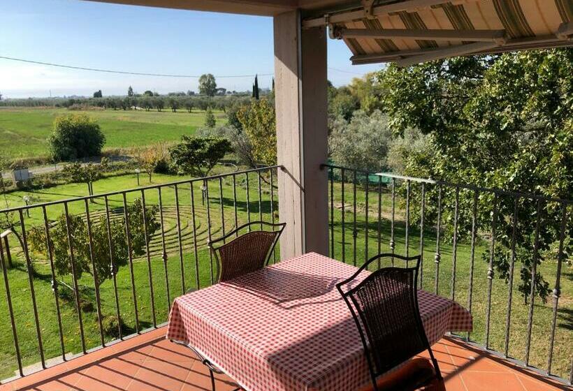 اتاق استاندارد, Il Grano Di Bramante