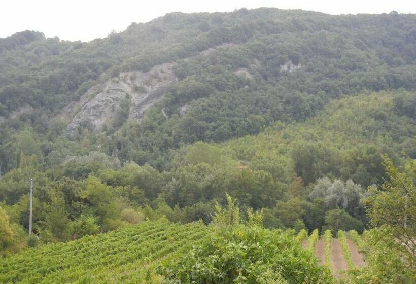 디럭스 룸, La Colombarola