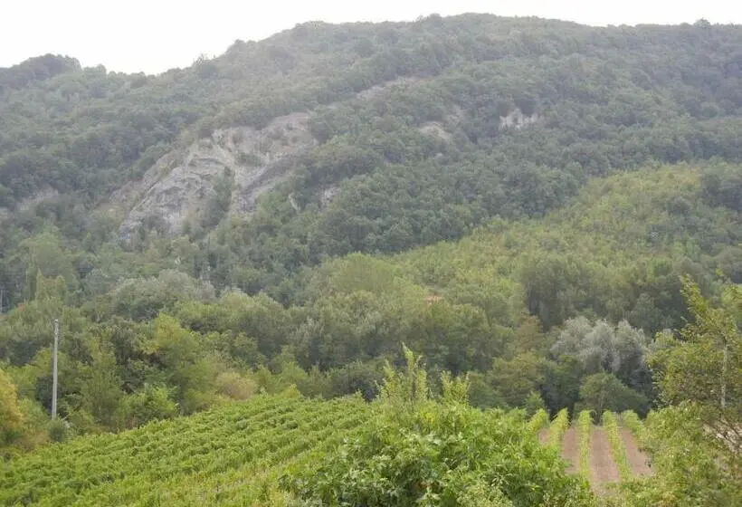 デラックスルーム, La Colombarola