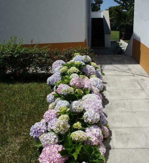 Дом 1 Спальня, Quinta De São Caetano   São Miguel Açores