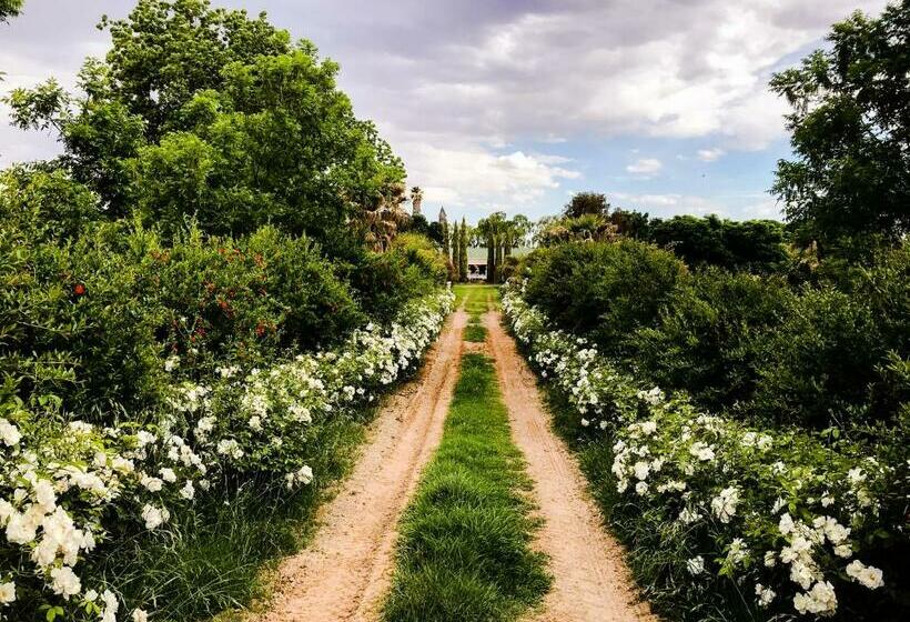 كوخ ديلوكس, Sanctuary Guest & Adventure Farm