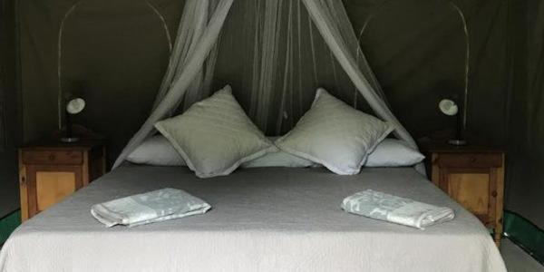 جناح, Sanctuary Guest & Adventure Farm