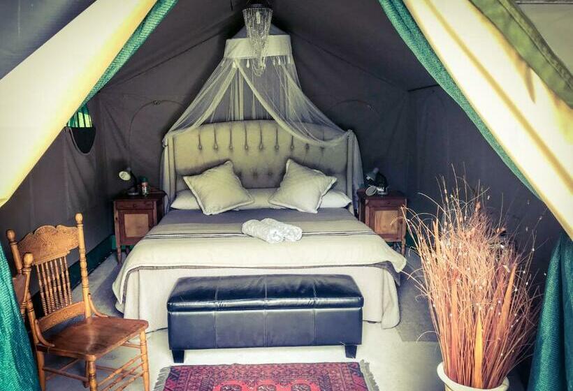 جناح, Sanctuary Guest & Adventure Farm