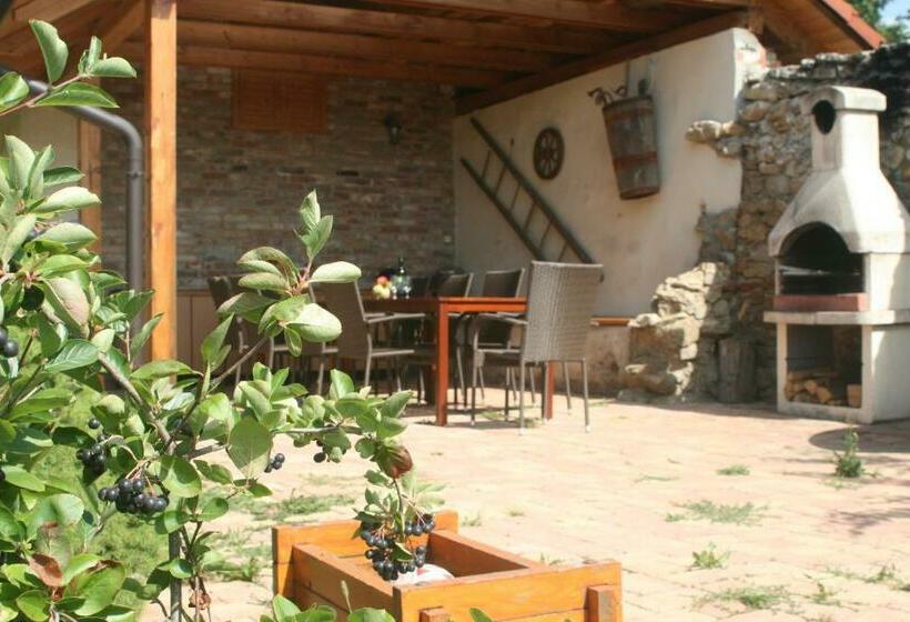Номер Стандарт Трехместный, Penzión Villa Agnes