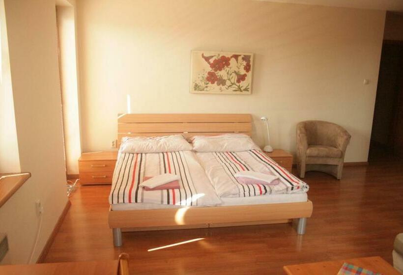 סוויטה נוף לגינה, Penzión Villa Agnes