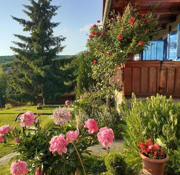 2ベッドルームハウス, Siklód. Csaba Vendégház