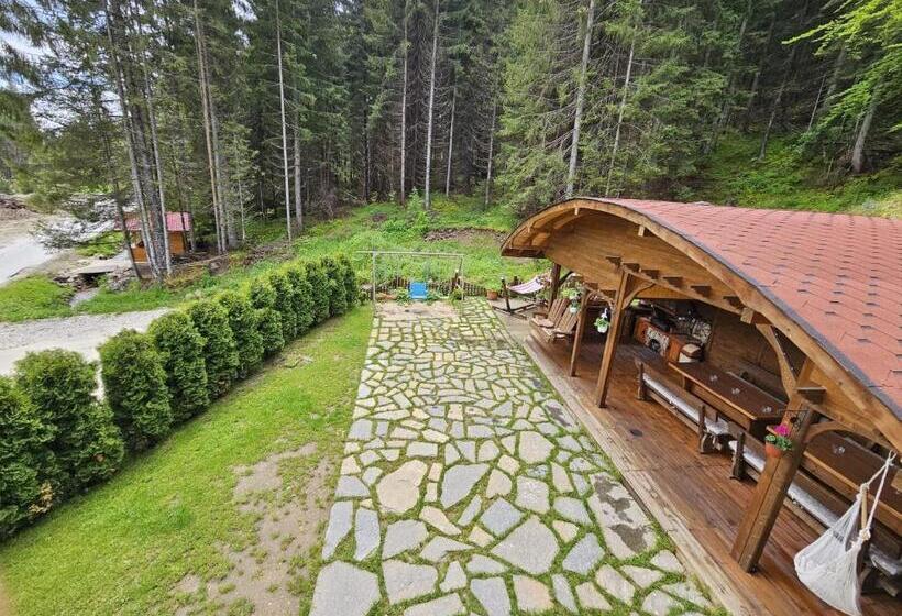 Willa 1 Sypialnia, Villa Hills   сърница