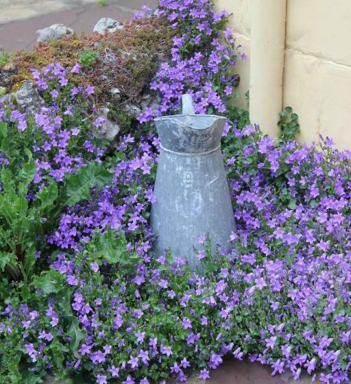 جناح مطلّ علي الحديقة, Le Chemin Du Village