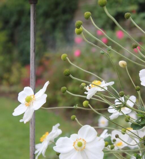 غرفة قياسية مطلّة علي الحديقة, Le Chemin Du Village