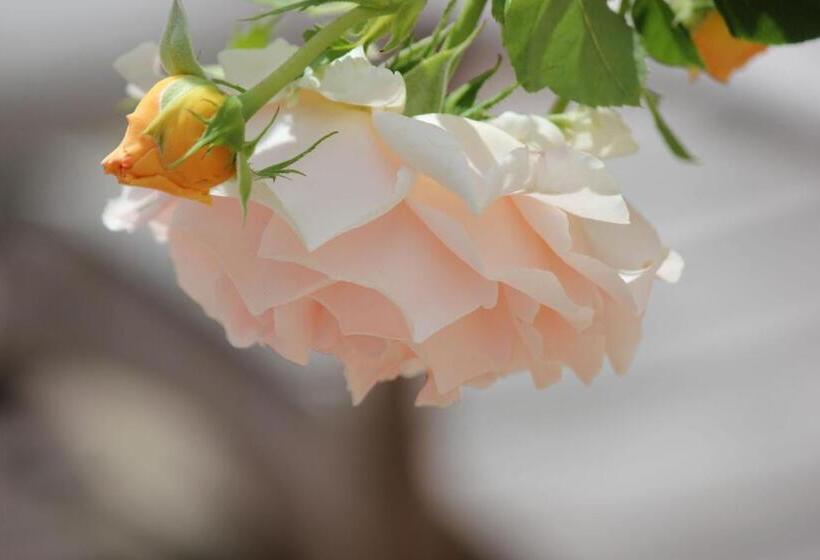 غرفة قياسية مطلّة علي الحديقة, Le Chemin Du Village