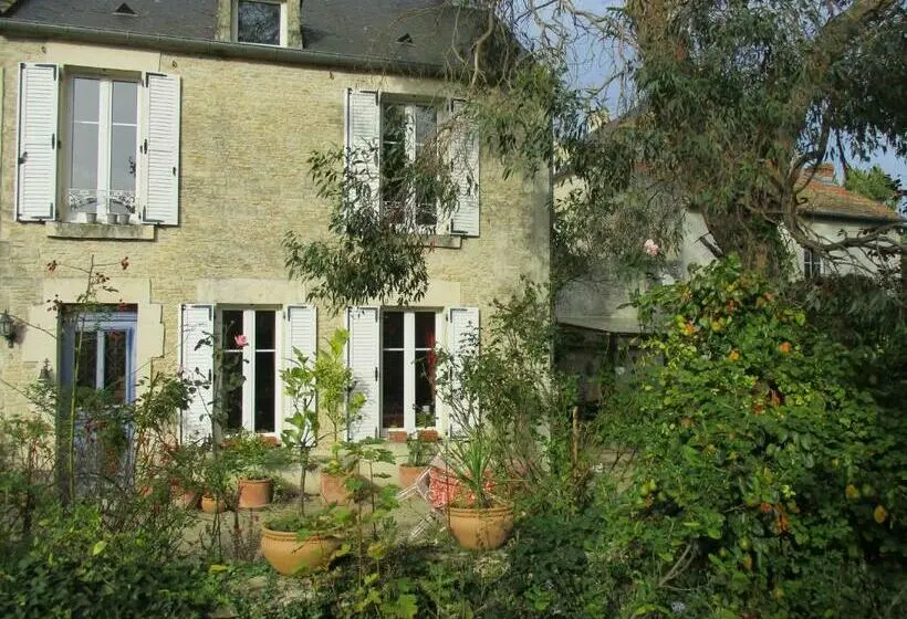 スタンダードルーム, Le Jardin De Camille