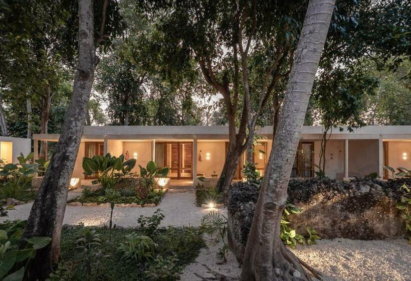 غرفة قياسية, Casona Los Cedros