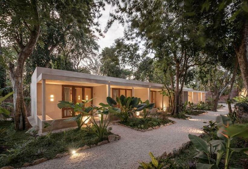 غرفة قياسية, Casona Los Cedros