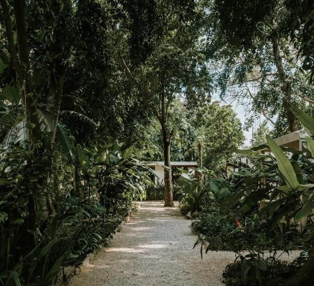 جناح مزود بحمام سباحة, Casona Los Cedros