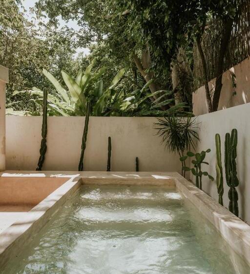 جناح مزود بحمام سباحة, Casona Los Cedros