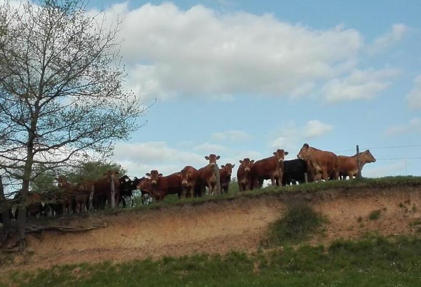 스탠다드 룸, Charmante Maison à La Ferme