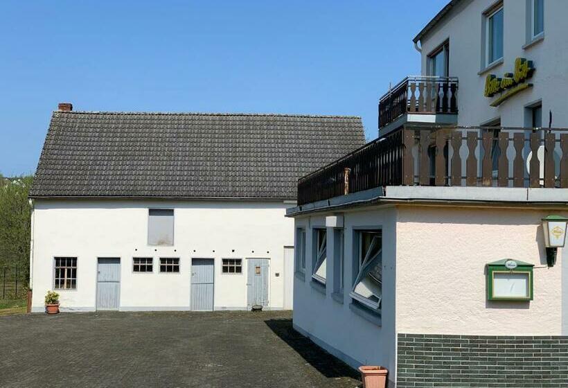 Апартаменты 1 Спальня с Видом, Sabine’s Gästehaus