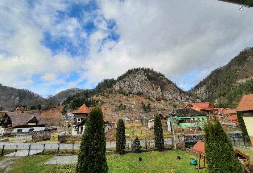 스탠다드 룸 산 전망, Pensiunea Casa Soarelui