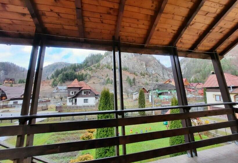 스탠다드 룸 산 전망, Pensiunea Casa Soarelui