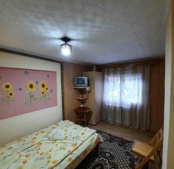 Standard-huone, Pensiunea Casa Soarelui