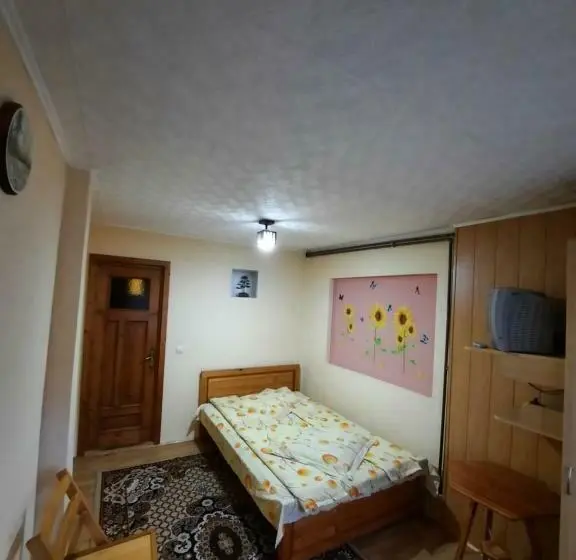 Standard-huone, Pensiunea Casa Soarelui