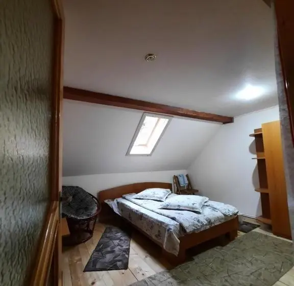 Standard-huone Jaettu Kylpyhuone, Pensiunea Casa Soarelui