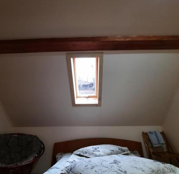 스탠다드 룸 공동 욕실, Pensiunea Casa Soarelui