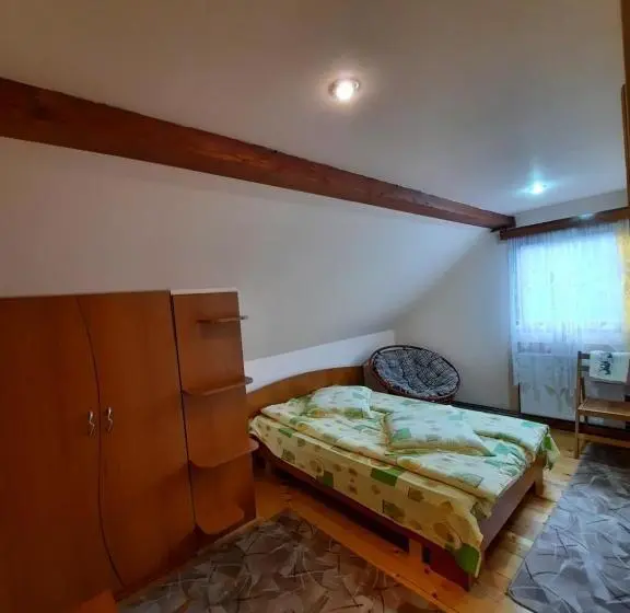 Standard-huone Jaettu Kylpyhuone, Pensiunea Casa Soarelui
