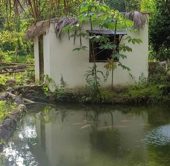 キャビン, Hostal Amaní